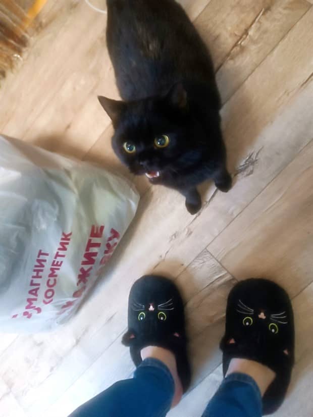 Klyker Picdump #1882 (42 photos)