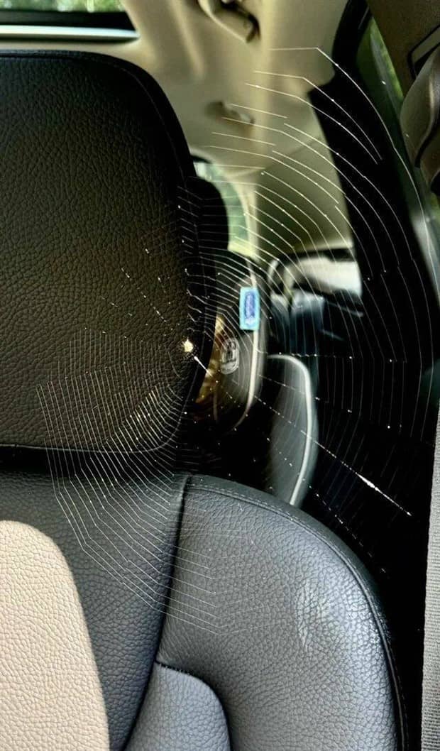 Klyker Picdump #1882 (42 photos)