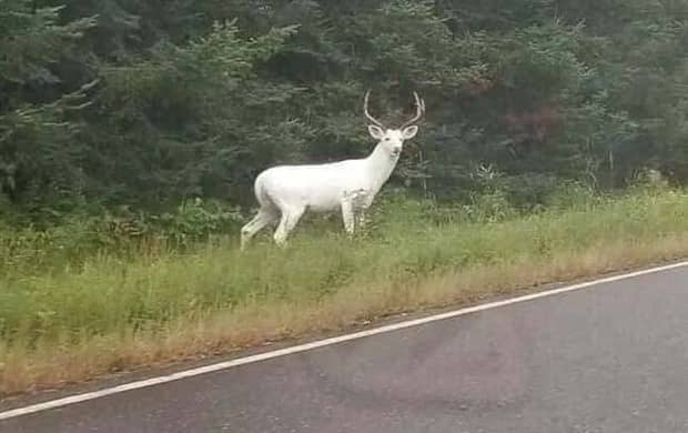 Klyker Picdump #1882 (42 photos)