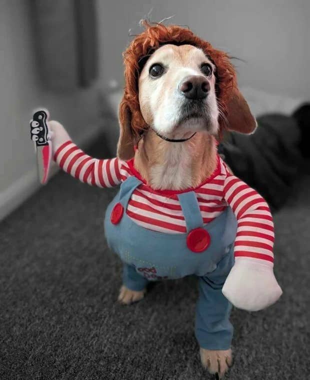 Klyker Picdump #1882 (42 photos)