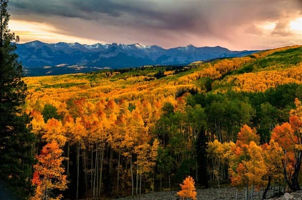 Klyker Picdump #1882 (42 photos)