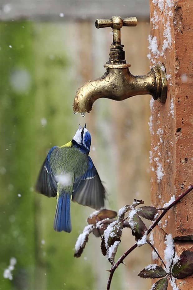 Klyker Picdump #1882 (42 photos)