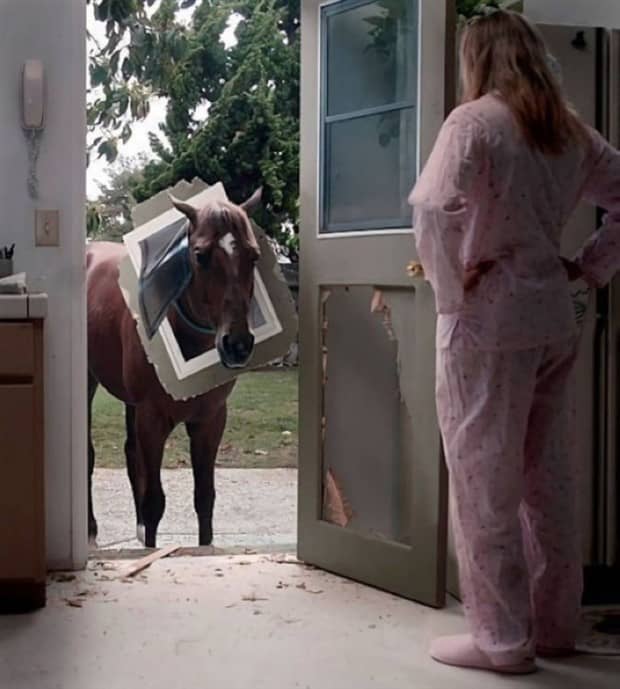 Klyker Picdump #1882 (42 photos)