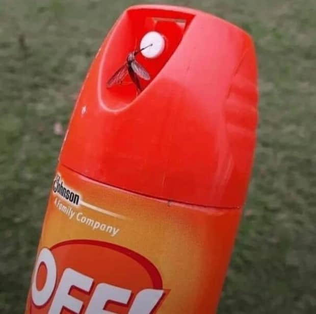 klyker picdump 12 4 2025 10 Klyker Picdump #1869 (44 photos)