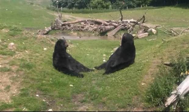 klyker picdump 12 4 2025 11 Klyker Picdump #1869 (44 photos)