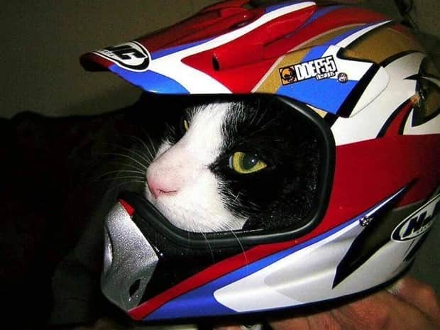 klyker picdump 12 4 2025 6 Klyker Picdump #1869 (44 photos)