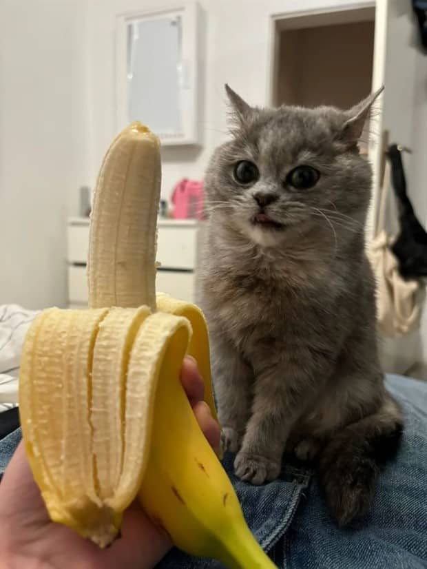 klyker picdump 12 8 2025 1 Klyker Picdump #1871 (41 photos)