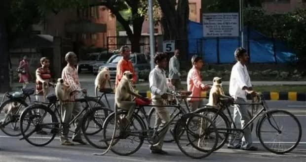 klyker picdump 12 8 2025 22 Klyker Picdump #1871 (41 photos)