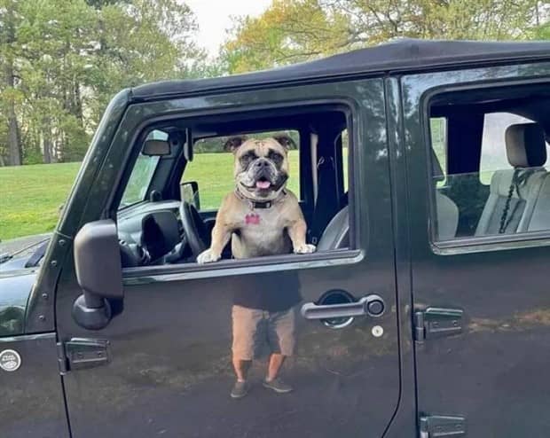 klyker picdump 12 9 2025 31 Klyker Picdump #1872 (42 photos)