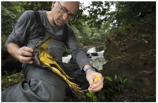 klyker picdump 12 9 2025 35 Klyker Picdump #1872 (42 photos)