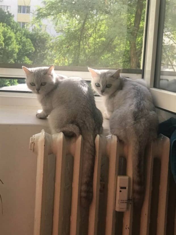 klyker picdump 12 9 2025 7 Klyker Picdump #1872 (42 photos)