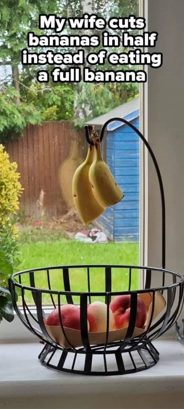 19 Photos Showing How Wild Marriage Is (19 photos)