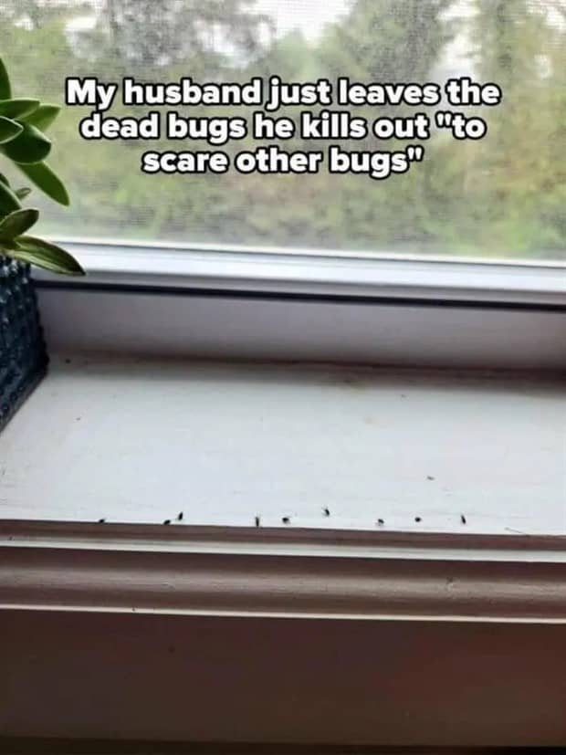 19 Photos Showing How Wild Marriage Is (19 photos)