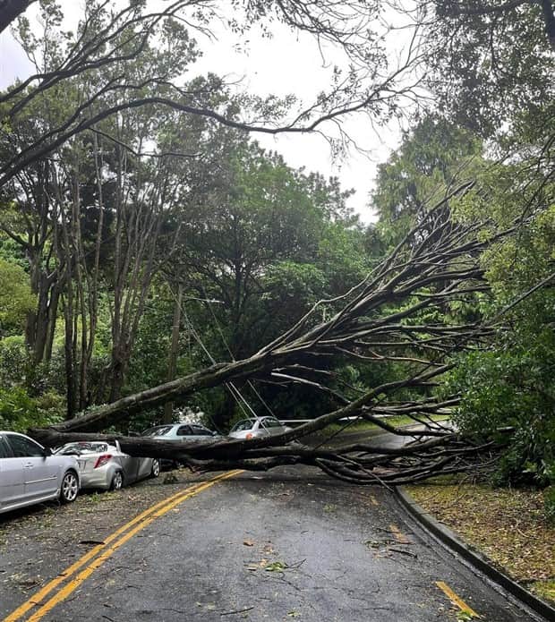 Shit Happens Regularly, Get Used To It #357 (22 photos)