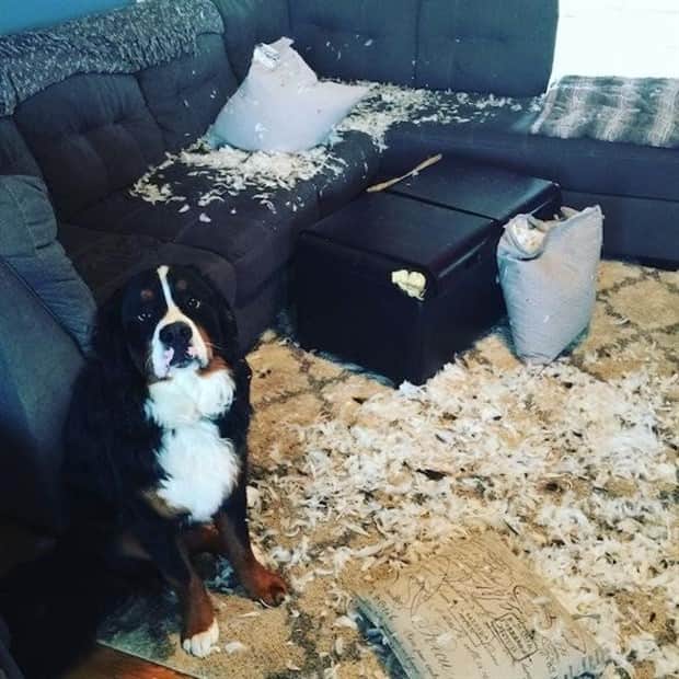 Shit Happens Regularly, Get Used To It #357 (22 photos)