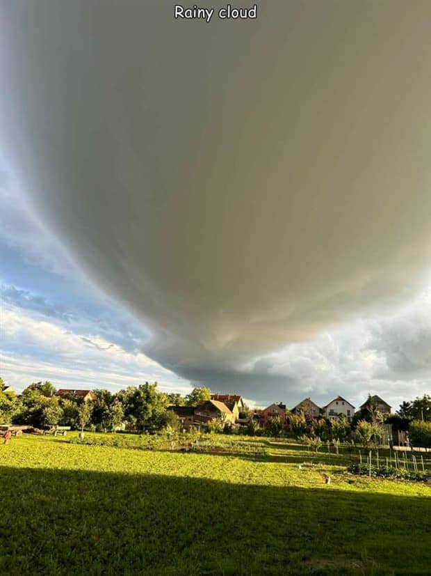 Interesting Pictures with Captions #186 (16 photos)