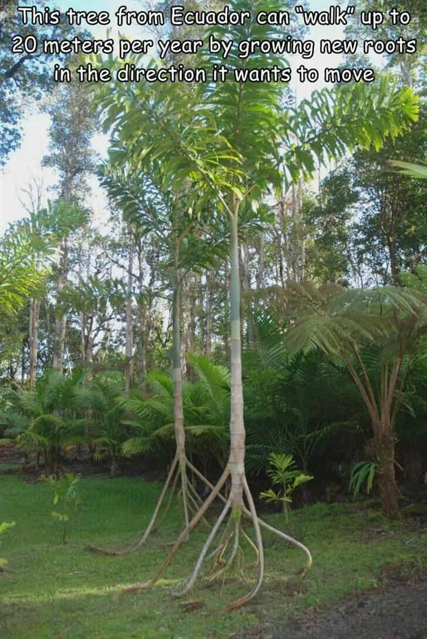 pictures with captions 11 Interesting Pictures with Captions #184 (15 photos)