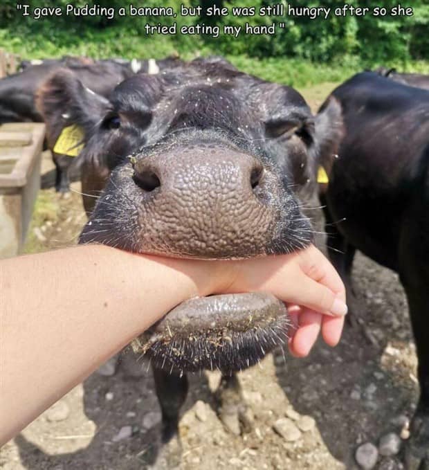 Interesting Pictures with Captions #185 (21 photos)