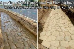 Interesting Pictures with Captions #184 (15 photos)