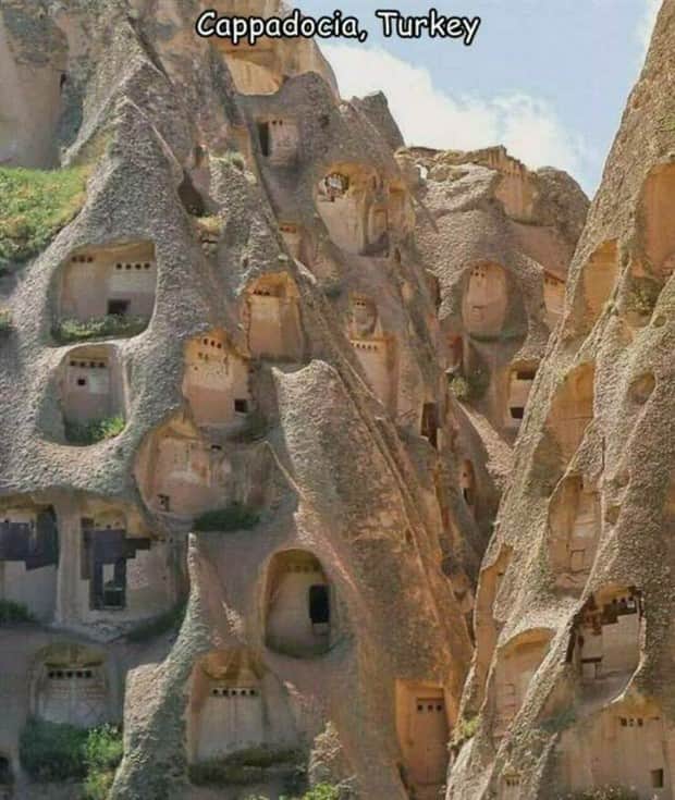 pictures with captions 2 Interesting Pictures with Captions #184 (15 photos)