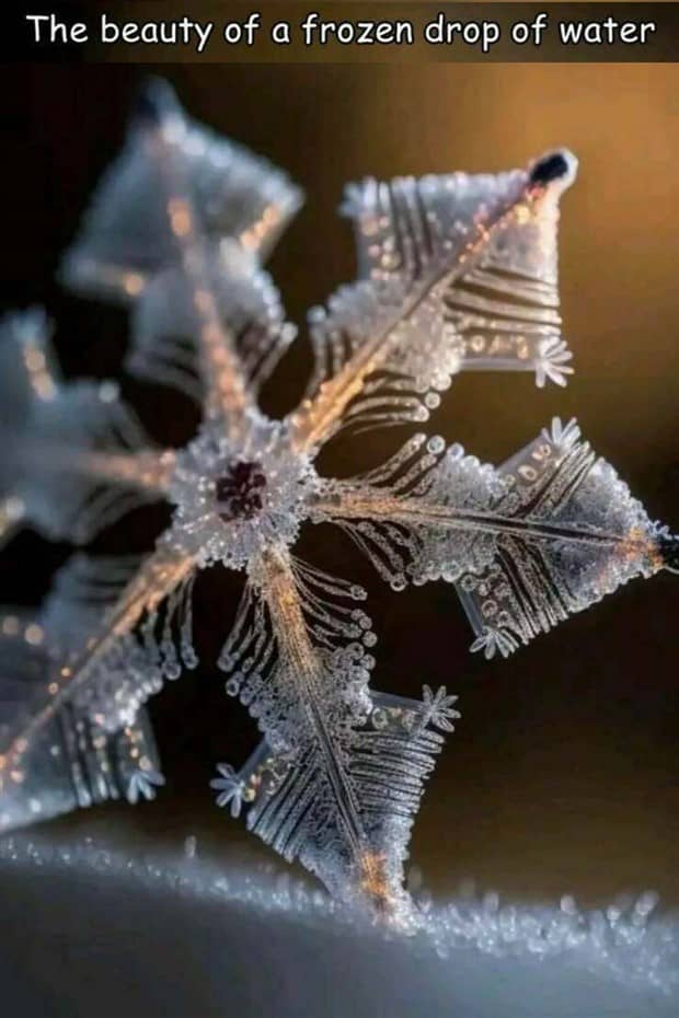 Interesting Pictures with Captions #185 (21 photos)