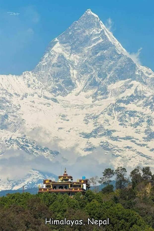 Interesting Pictures with Captions #185 (21 photos)