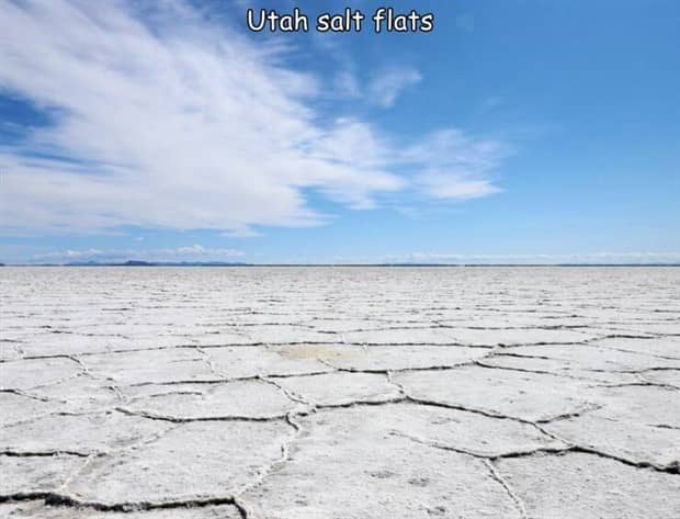 Interesting Pictures with Captions #185 (21 photos)