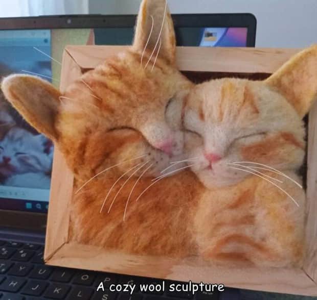 pictures with captions 6 Interesting Pictures with Captions #184 (15 photos)