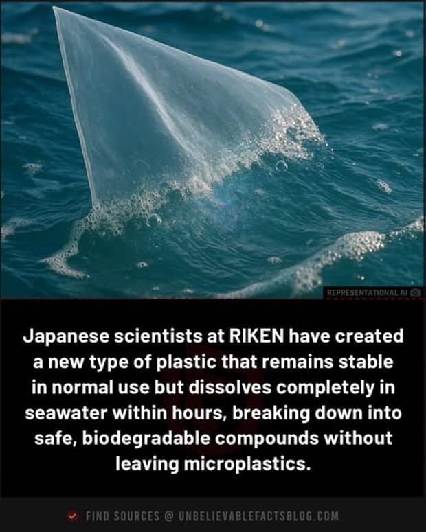 random facts 16 Cool and Interesting Facts #460 (19 photos)