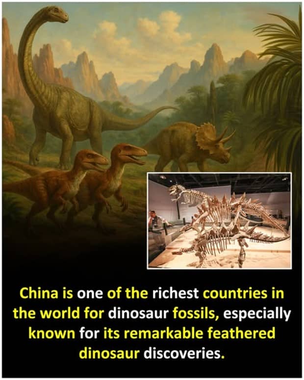 random facts 18 Cool and Interesting Facts #460 (19 photos)