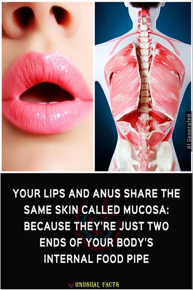 random facts 5 Cool and Interesting Facts #460 (19 photos)
