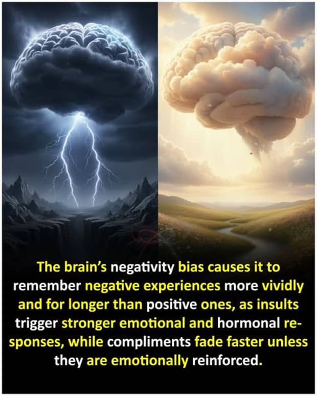 random facts 6 Cool and Interesting Facts #460 (19 photos)