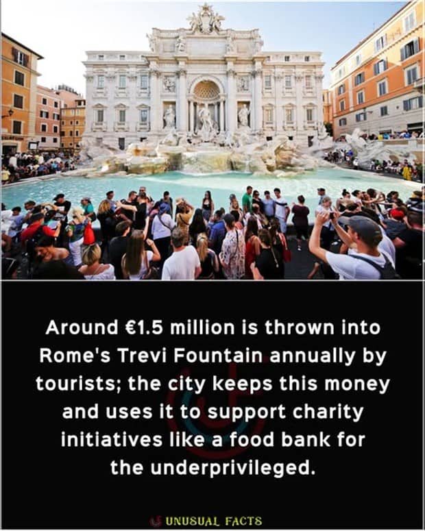 random facts 9 Cool and Interesting Facts #460 (19 photos)