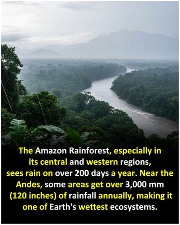 Cool and Interesting Facts #458 (23 photos)