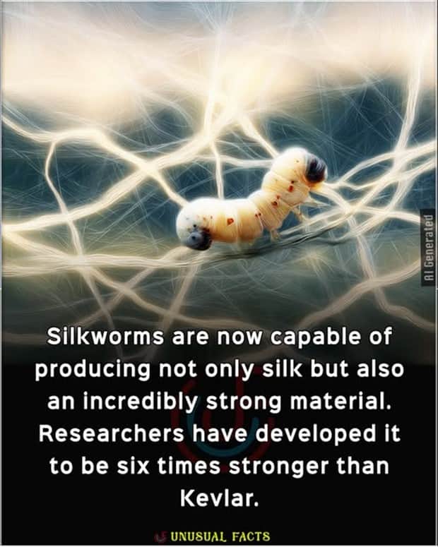 Cool and Interesting Facts #458 (23 photos)