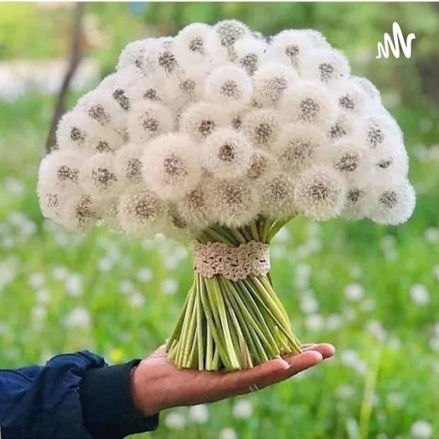 serene pics 2 Serene Images Bringing Gentle Harmony (27 photos)