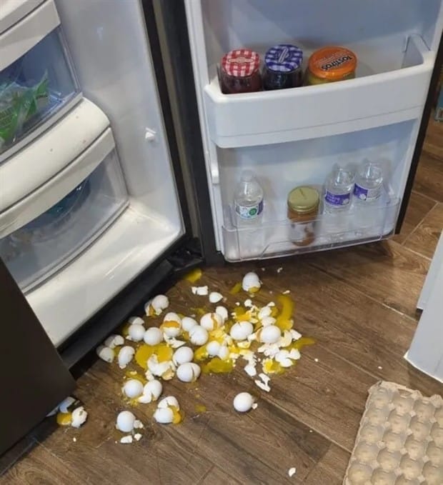 shit happens 1 Shit Happens Regularly, Get Used To It #358 (24 photos)