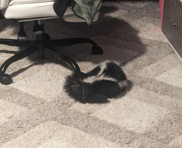 shit happens 12 Shit Happens Regularly, Get Used To It #358 (24 photos)