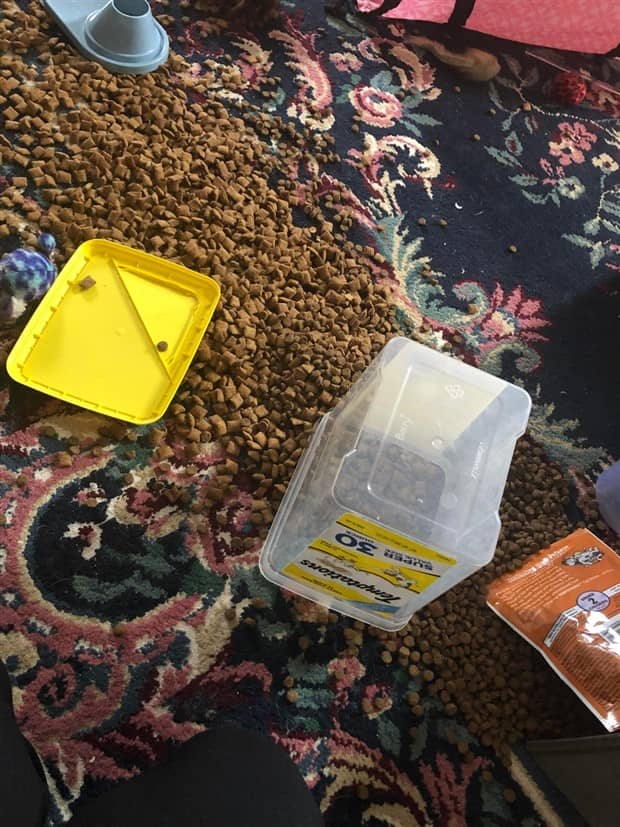 Shit Happens Regularly, Get Used To It #359 (21 photos)