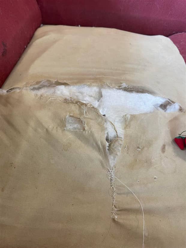 Shit Happens Regularly, Get Used To It #359 (21 photos)