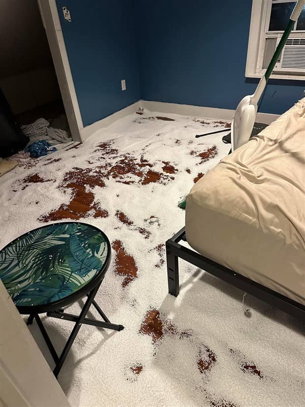 Shit Happens Regularly, Get Used To It #359 (21 photos)