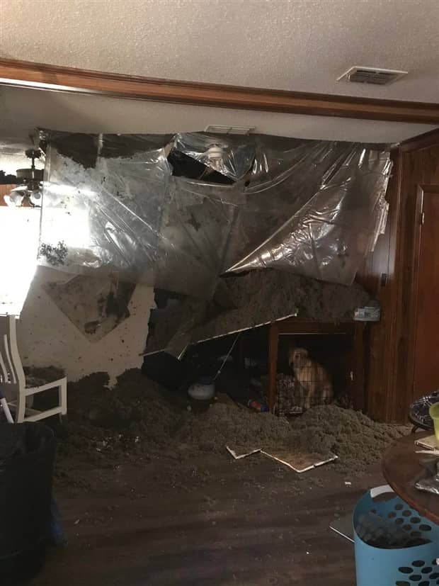 Shit Happens Regularly, Get Used To It #360 (23 photos)