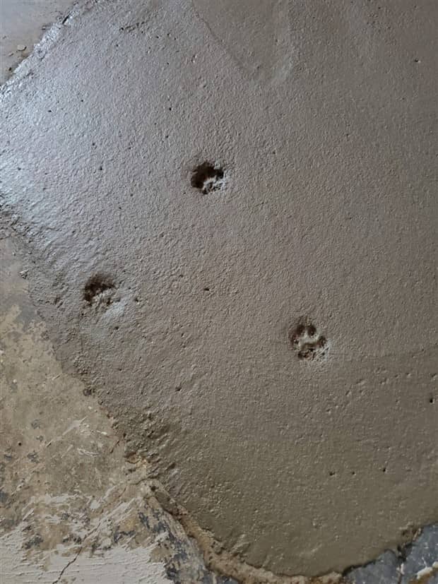 Shit Happens Regularly, Get Used To It #360 (23 photos)