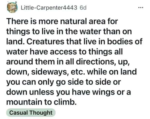 shower thoughts 1 4 Funny Shower Thoughts That Sound Smart #187 (18 photos)