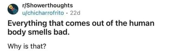 shower thoughts 10 4 Funny Shower Thoughts That Sound Smart #187 (18 photos)