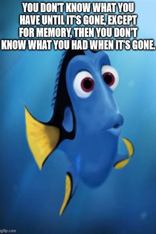 Funny Shower Thoughts That Sound Smart #184 (15 photos)