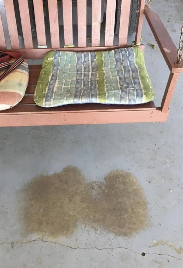 22 Random Objects Altered by Long Use (22 photos)