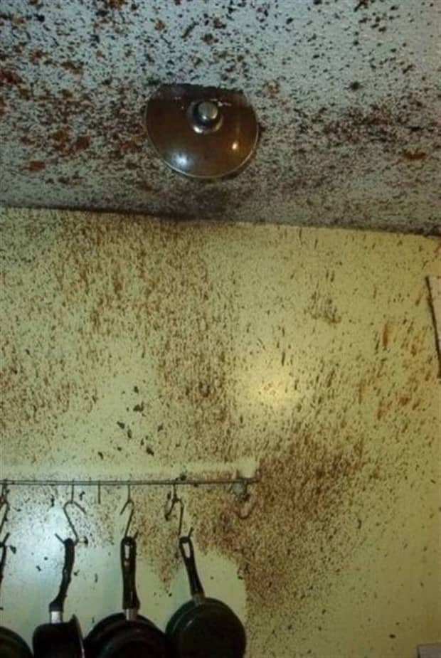 Welcome to the Weird Side of the Internet #203 (23 photos)