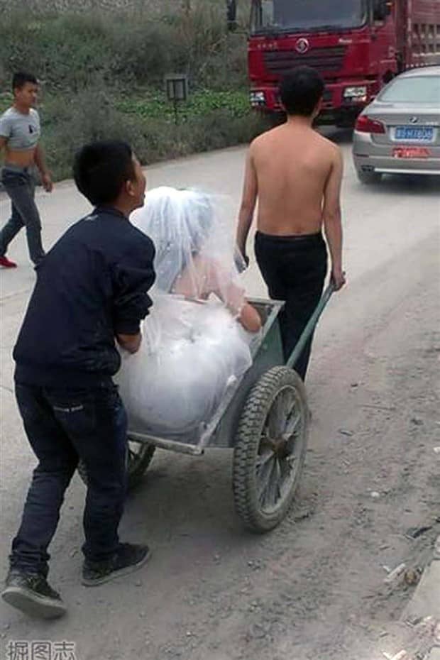 wicked asia 21 Wicked Asia #64 (24 photos)