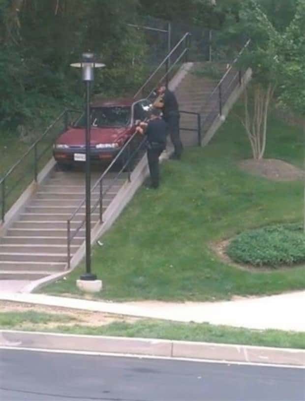 Common Sense Not Found Here (34 photos)